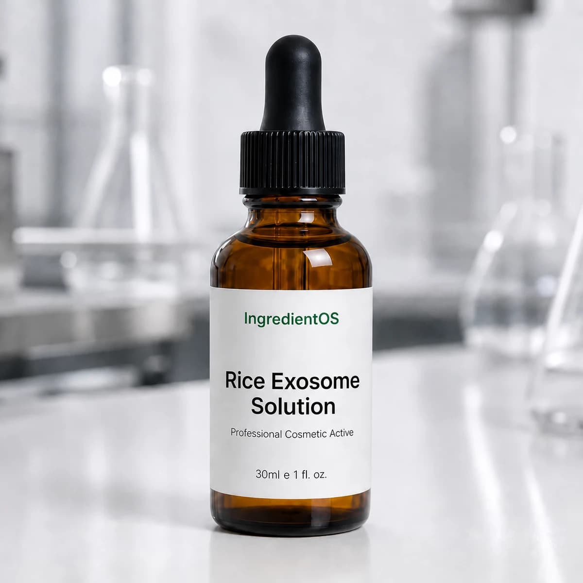 Rice Exosome Solution