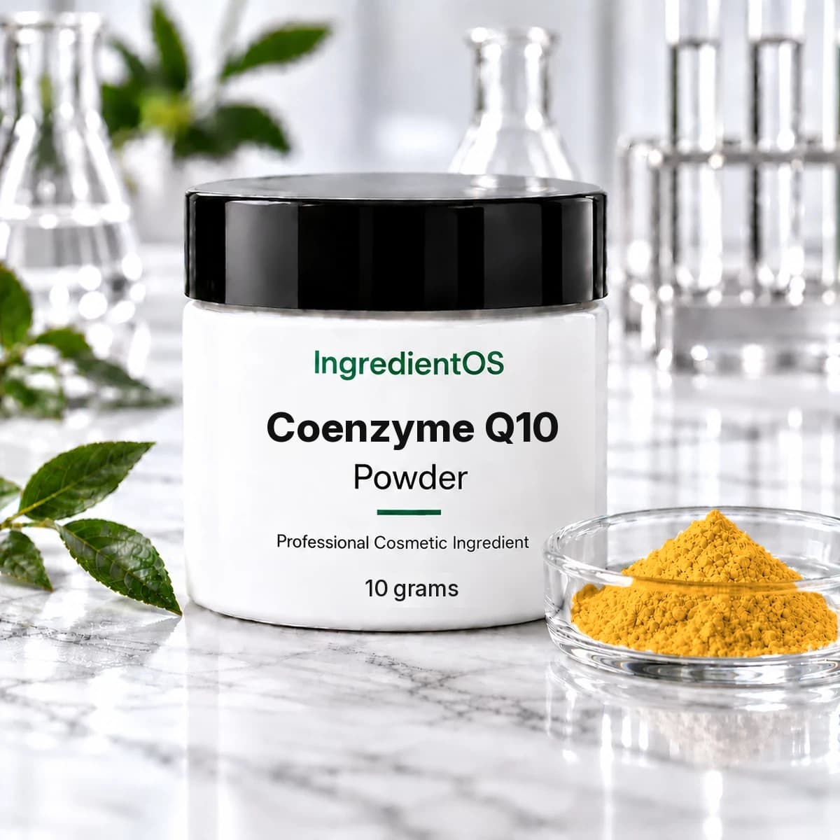 Coenzyme Q10 Powder