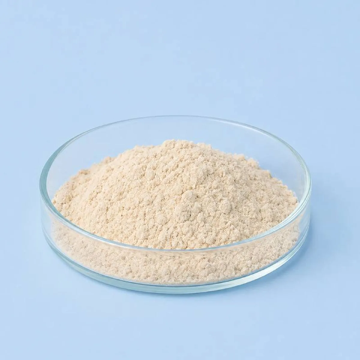 IO Oily Skin Cream Active Powder