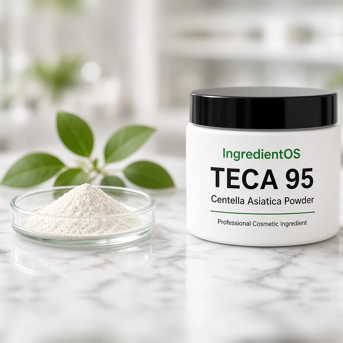 TECA 95 Centella Asiatica Triterpenes
