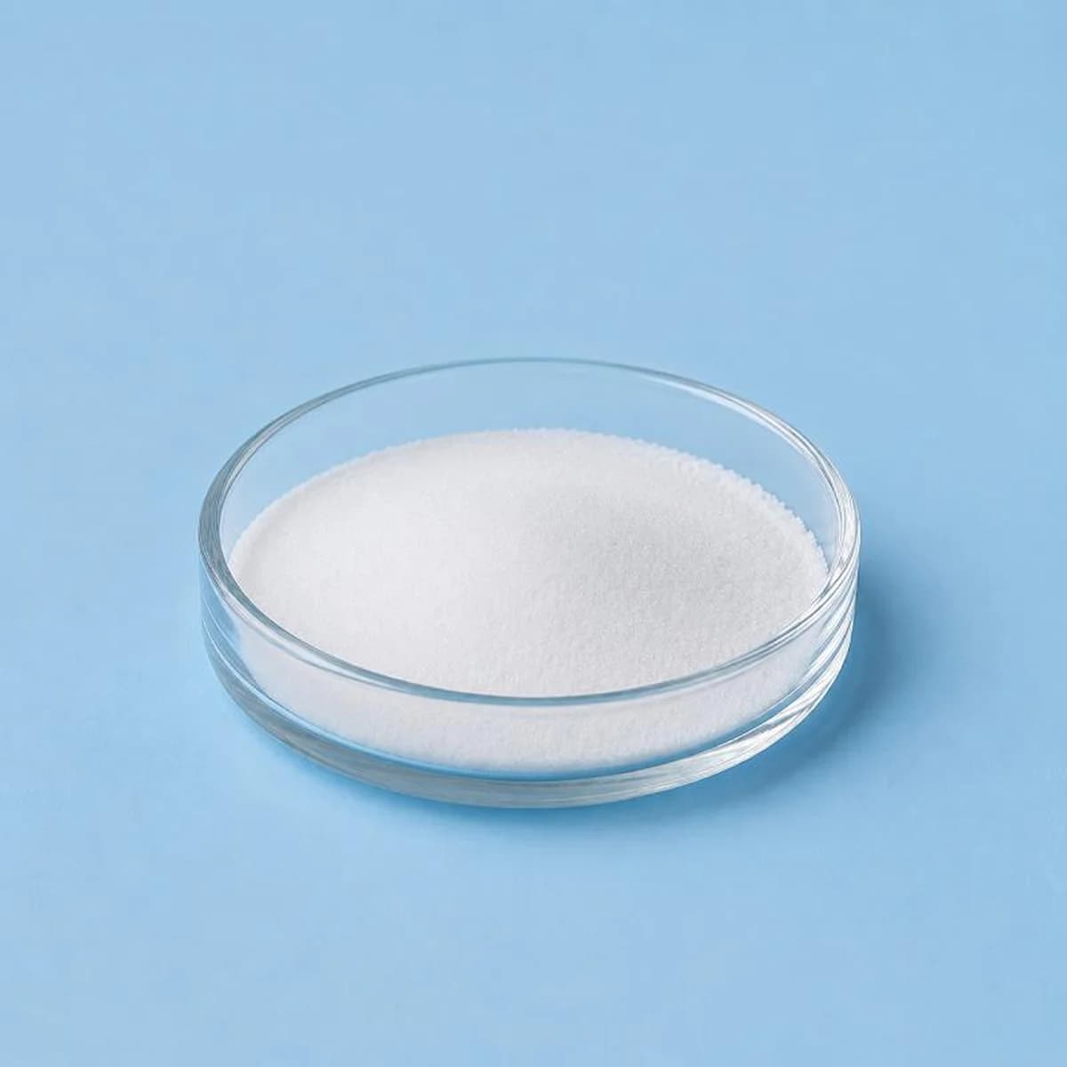 Hydrolyzed Collagen Protein 10g