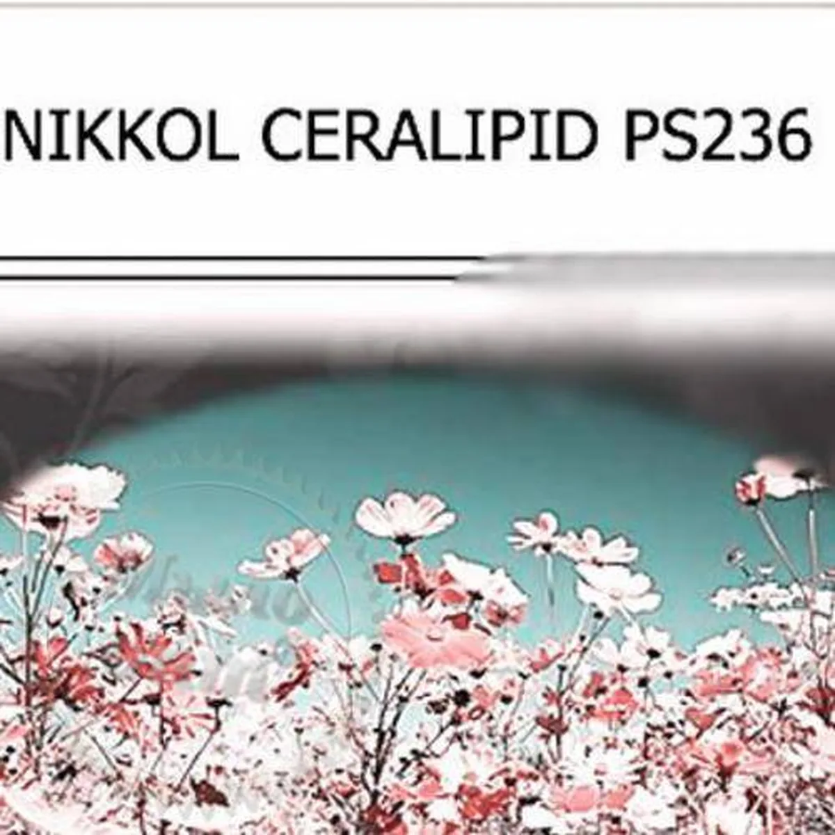 NIKKOL CERALIPID PI236
