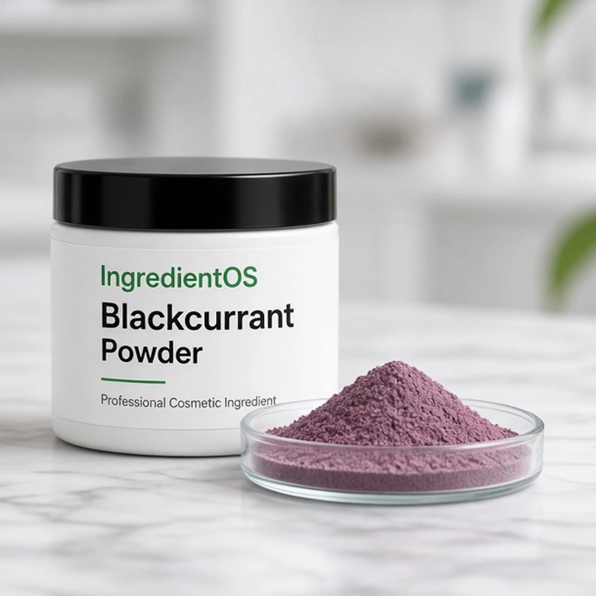 Blackcurrant Powder — image 1