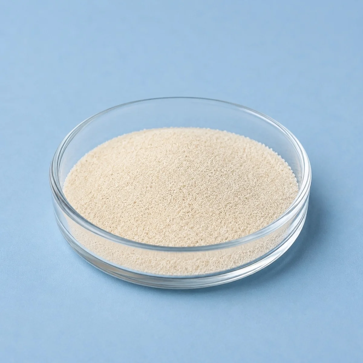 XI LOGEL — image 1
